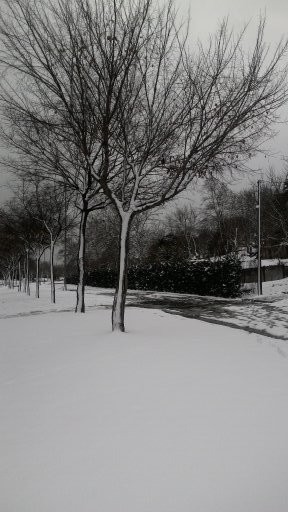 15435703_10210394831163395_1771572179_n