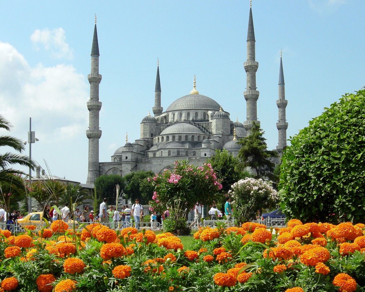 213535915_2da774893e_o