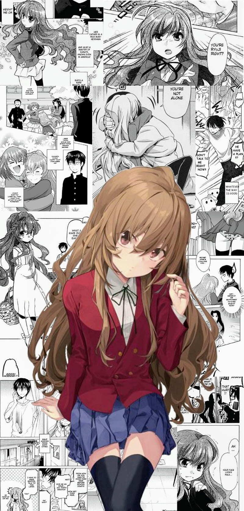 HD-wallpaper-taiga-aisaka-aesthetic-manga-anime-toradora