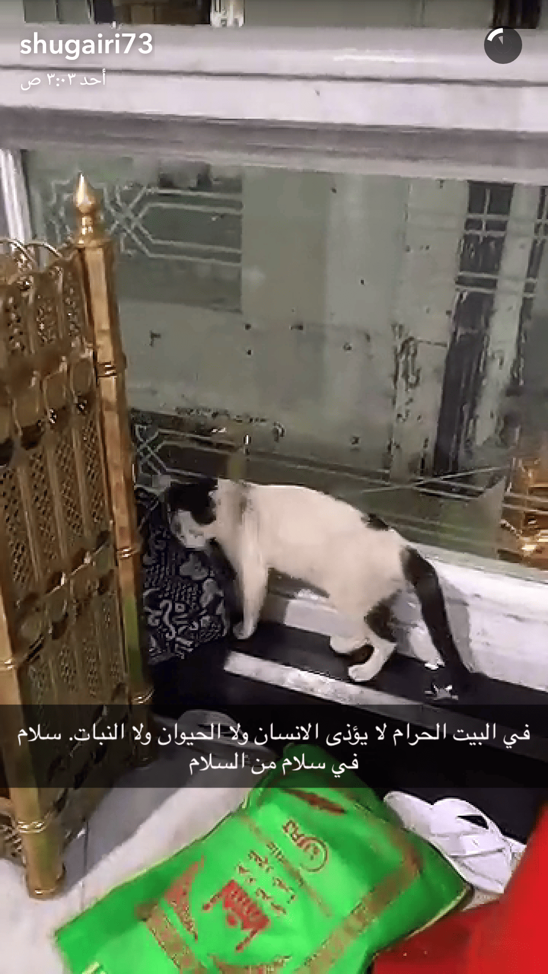 Screenshot_٢٠١٦-٠٧-١١-٠٠-٤٢-١٩