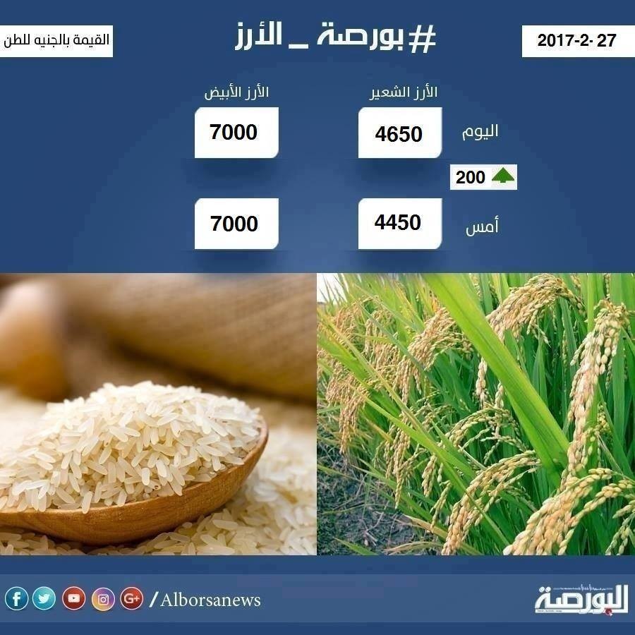 16997987_1312263082172297_855547290736270648_n