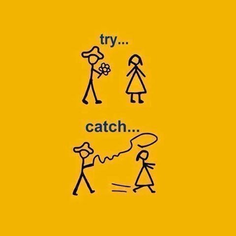 12006312_1017033665014551_1054597502665027579_n