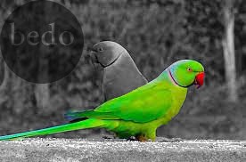 D-_project_study_download-_1_