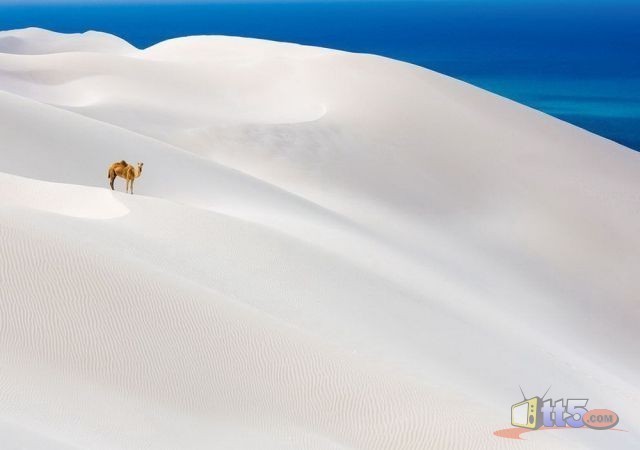 world-pictures-nature-new-64