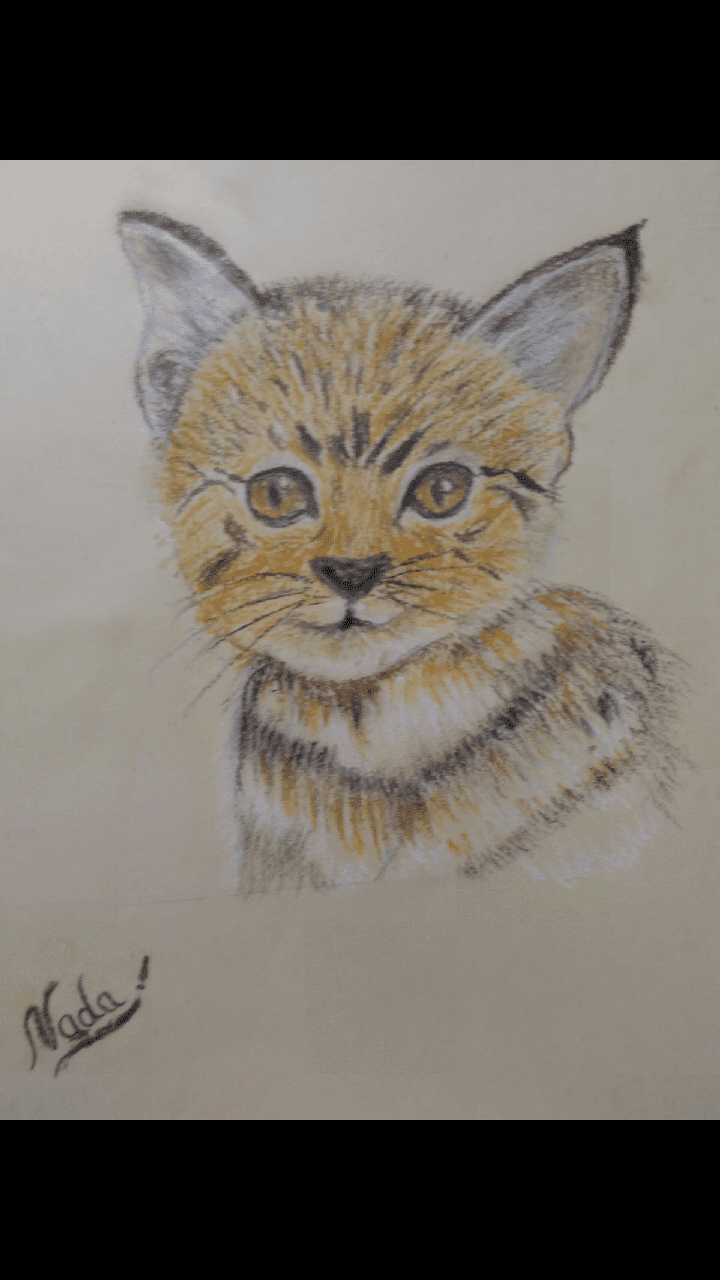 اويل باستيل