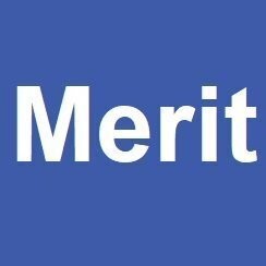 شركة - شركة ميريت للتدريب والاستشارات M
