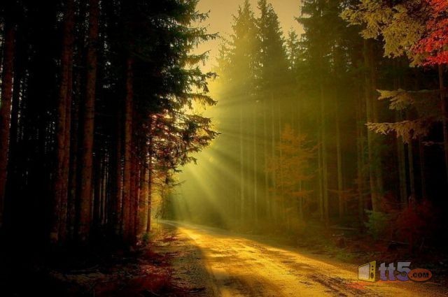 world-pictures-nature-new-7