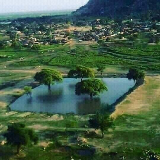 FB_IMG_15595202683998004