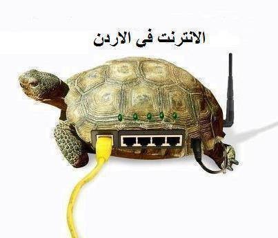 1381737_739894596024606_2053652598_n