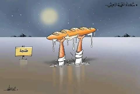قطعة خبز
