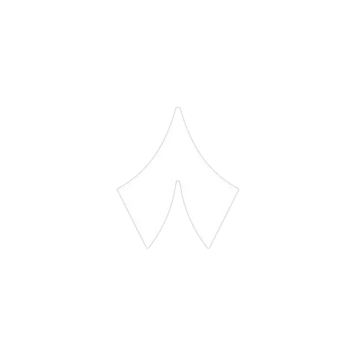 خاصة