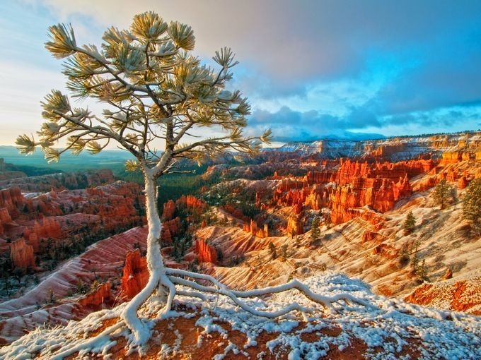 635951264627981285-21.-Bryce-Canyon-NP-Curtis-Kautzer-STE-small