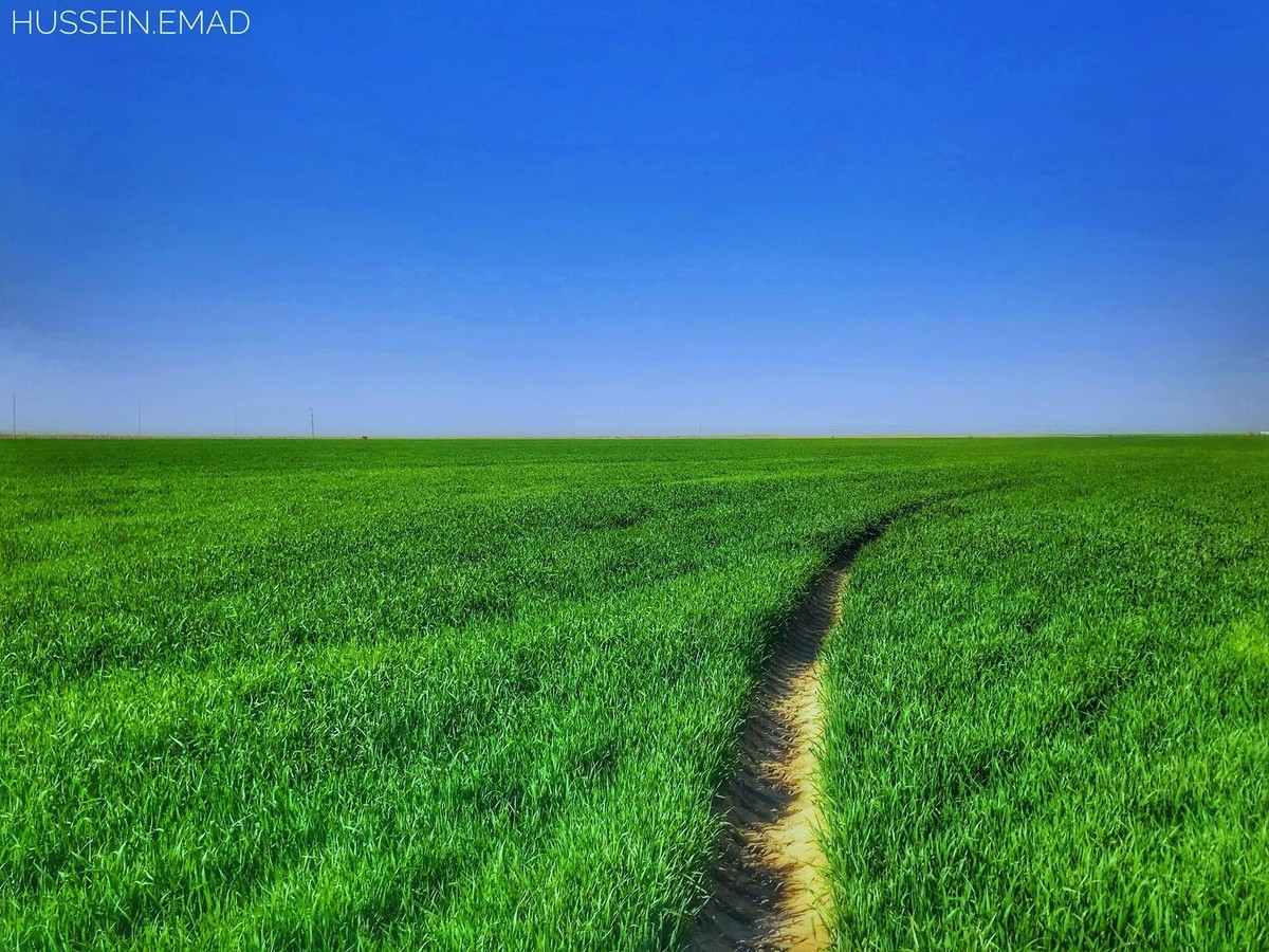 27500940_1562957067119893_8299764744255761365_o