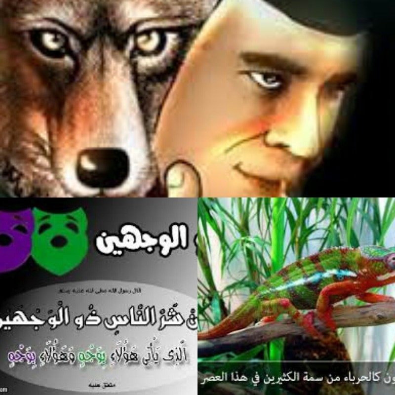 IMG_20170422_113911_116