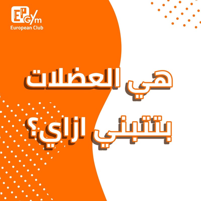 هي_العضلات_ىبتتبني_ازاي