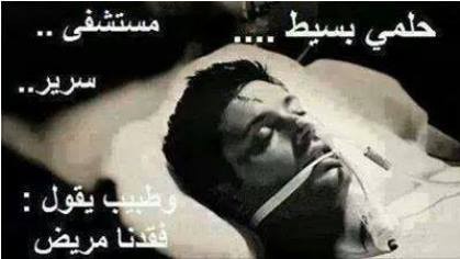 540413_1481469762136688_6444957969184099321_n