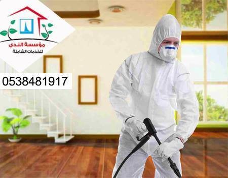 خدمات مكافحه الحشرات 0538481917
