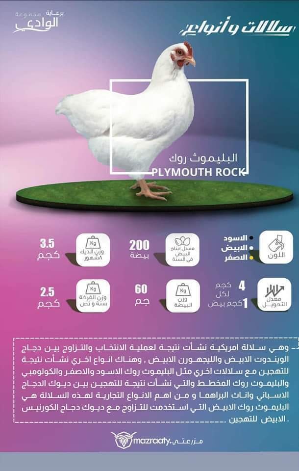 FB_IMG_1550854320506