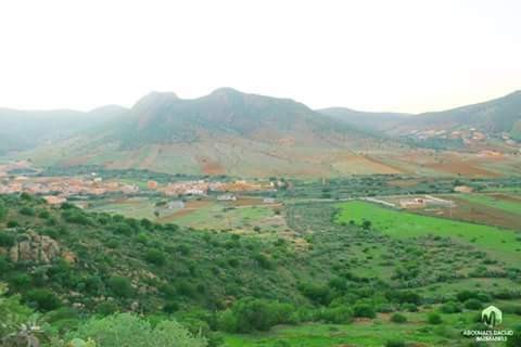 FB_IMG_1482436855029