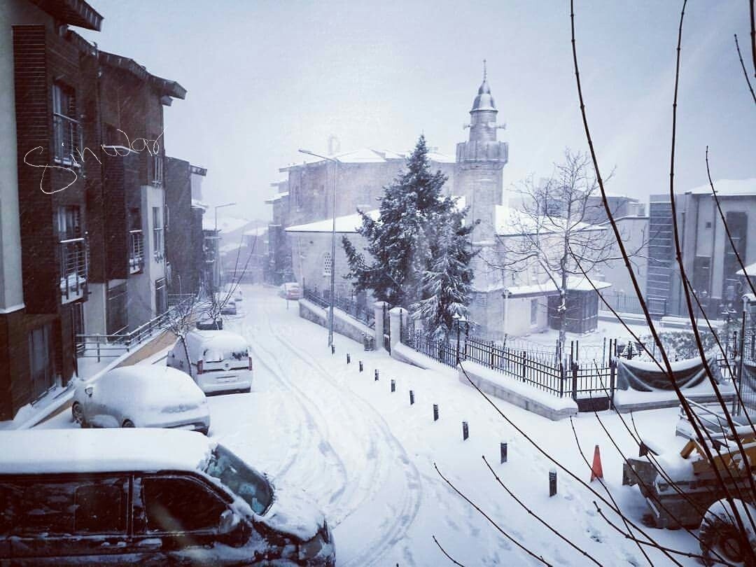 FB_IMG_1451541489273_0