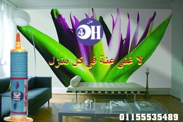 لا غنى عنة فى كل منزل