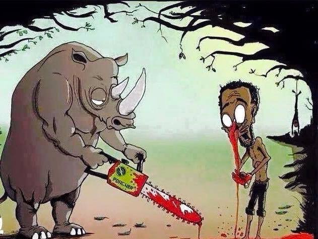 قرن ام انف؟؟