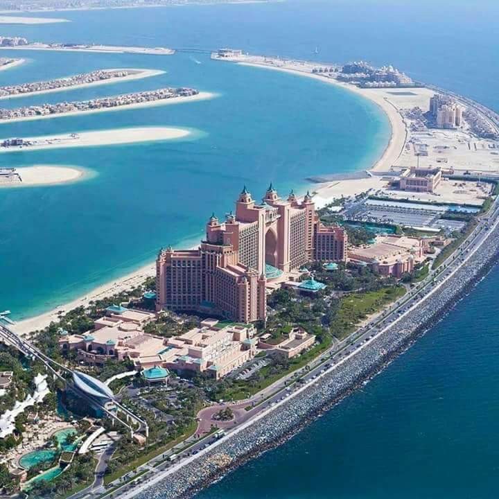 13428561_1321458714538557_9125351881884157135_n