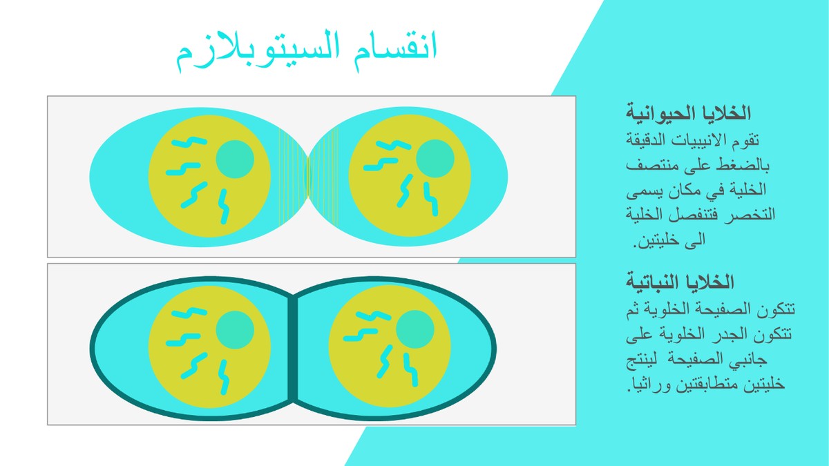 2c35ee775c1be0f5abbaa40beb9a6ef6-13