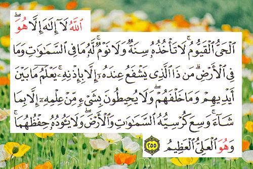tumblr_m2zk2tJLa51qgxwpjo1_500_copy