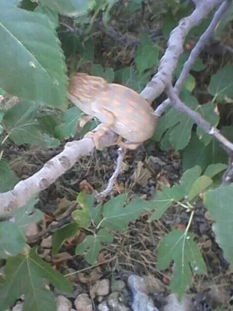 18057897_10211331709800068_4855602820516707304_n