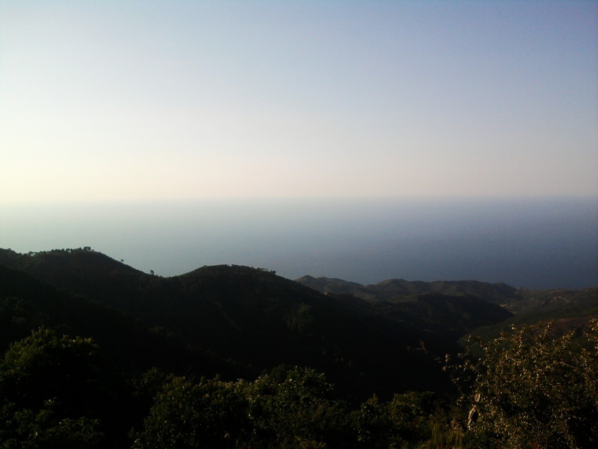 Photo01594