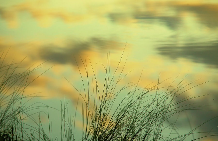 happy_summer_peace_and_dreams_by_karil-d2xrhhk