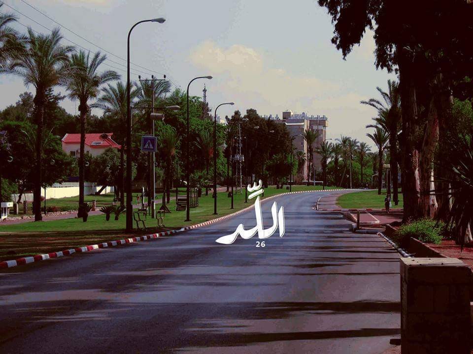 اللد