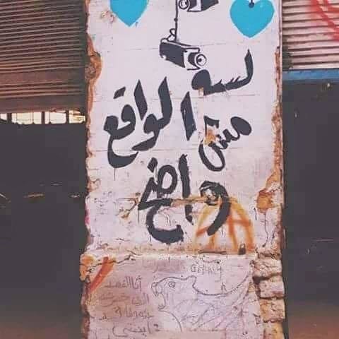 11539713_707620976038208_921862535430364411_n