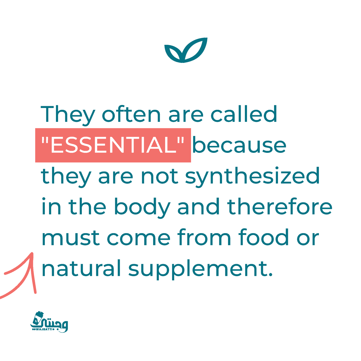 carousel_insa-01-07-03