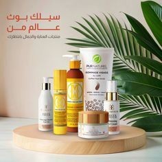 2887eaba05c0f854ec563794050b429d__2024_12_08_16_22_58_UTC_