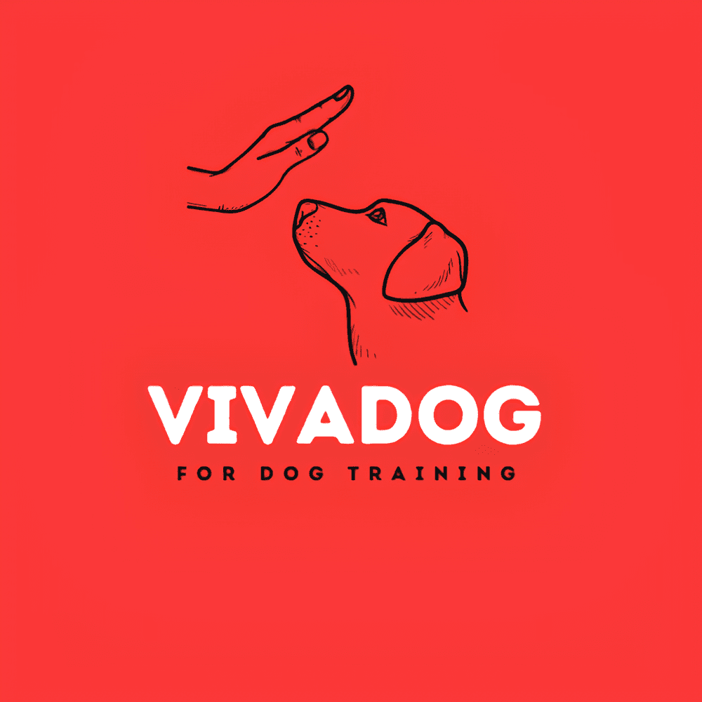 vivadog_20240421_104821_٠٠٠٠