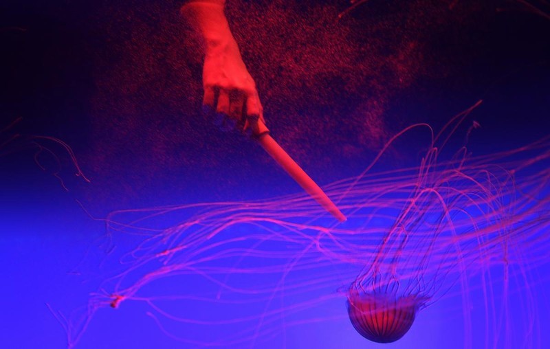 57c346452a8c4ee886662995dce34253-57c346452a8c4ee886662995dce34253-0