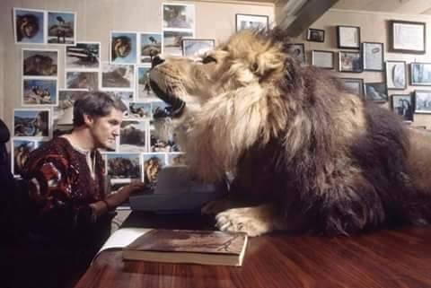 13423815_1506461416036991_7481718281444484789_n