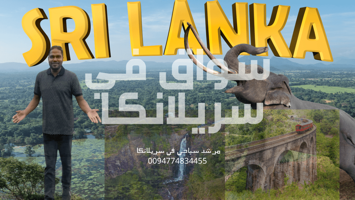 شركة سياحي في سريلانكا 