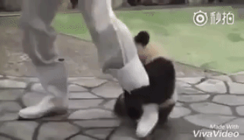 20160531-14629-5jwuws