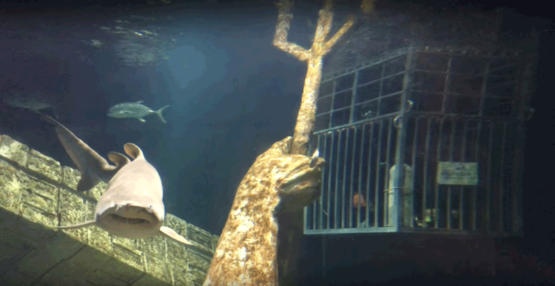 Capture-d_écran-_1_