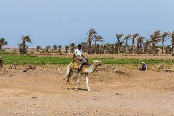 FB_IMG_1495061500438