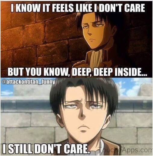 8640781b1212463734b5b2ec83544100--aot-levi-funny-levi-meme