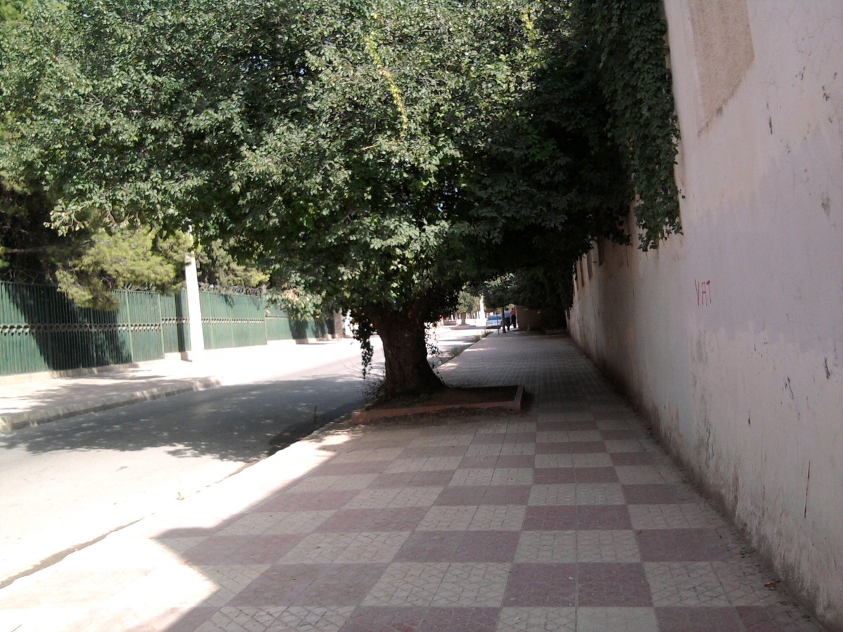 Photo0259