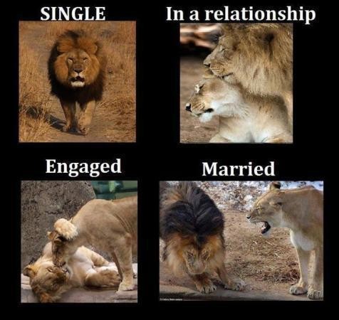 single-vs-married-life-0de6758b5ee9c12ce57c4f978e58203c.600x