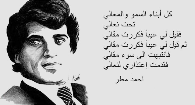 11917808_920608258013532_1672727779_n