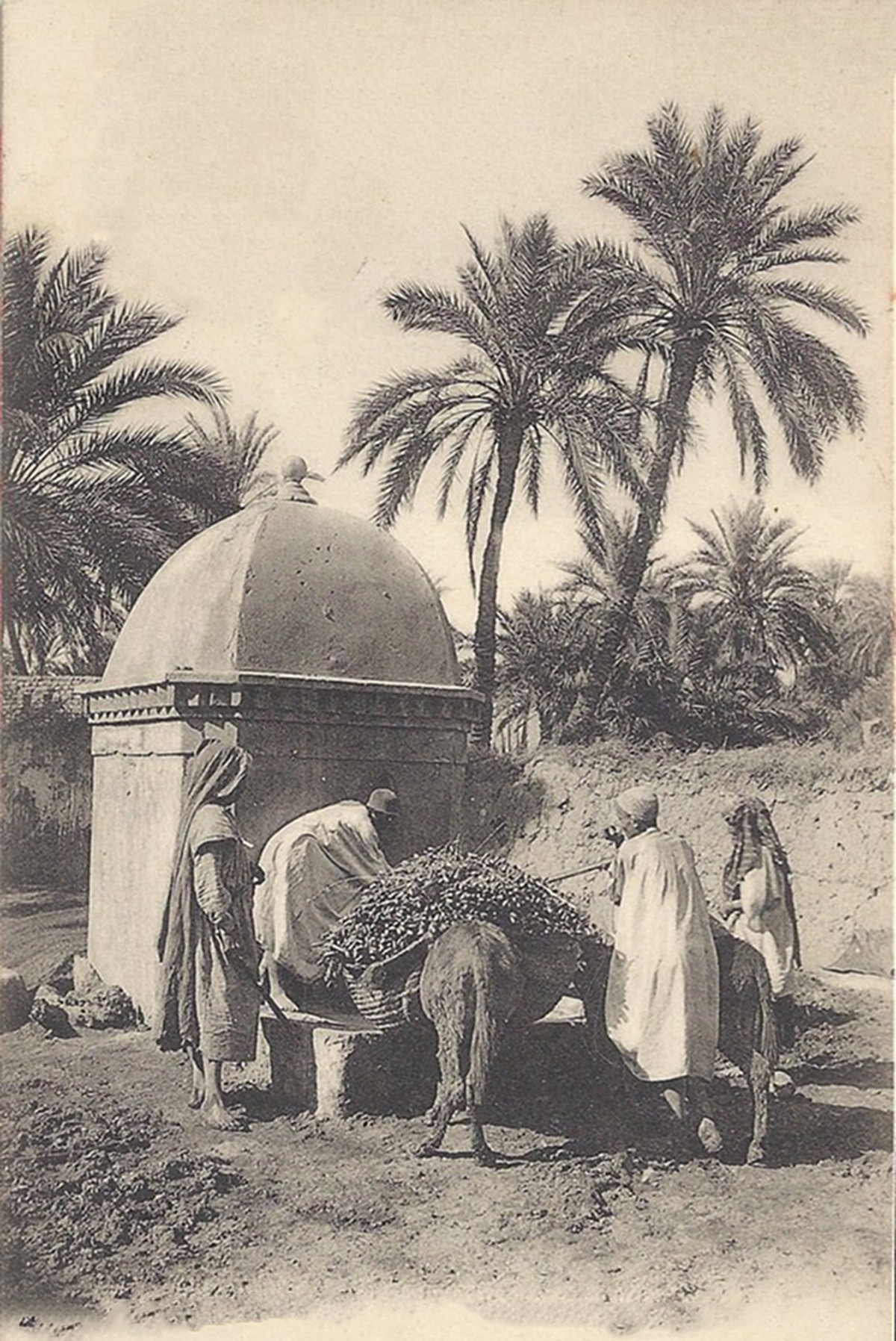 الحياة_بالألوان_1