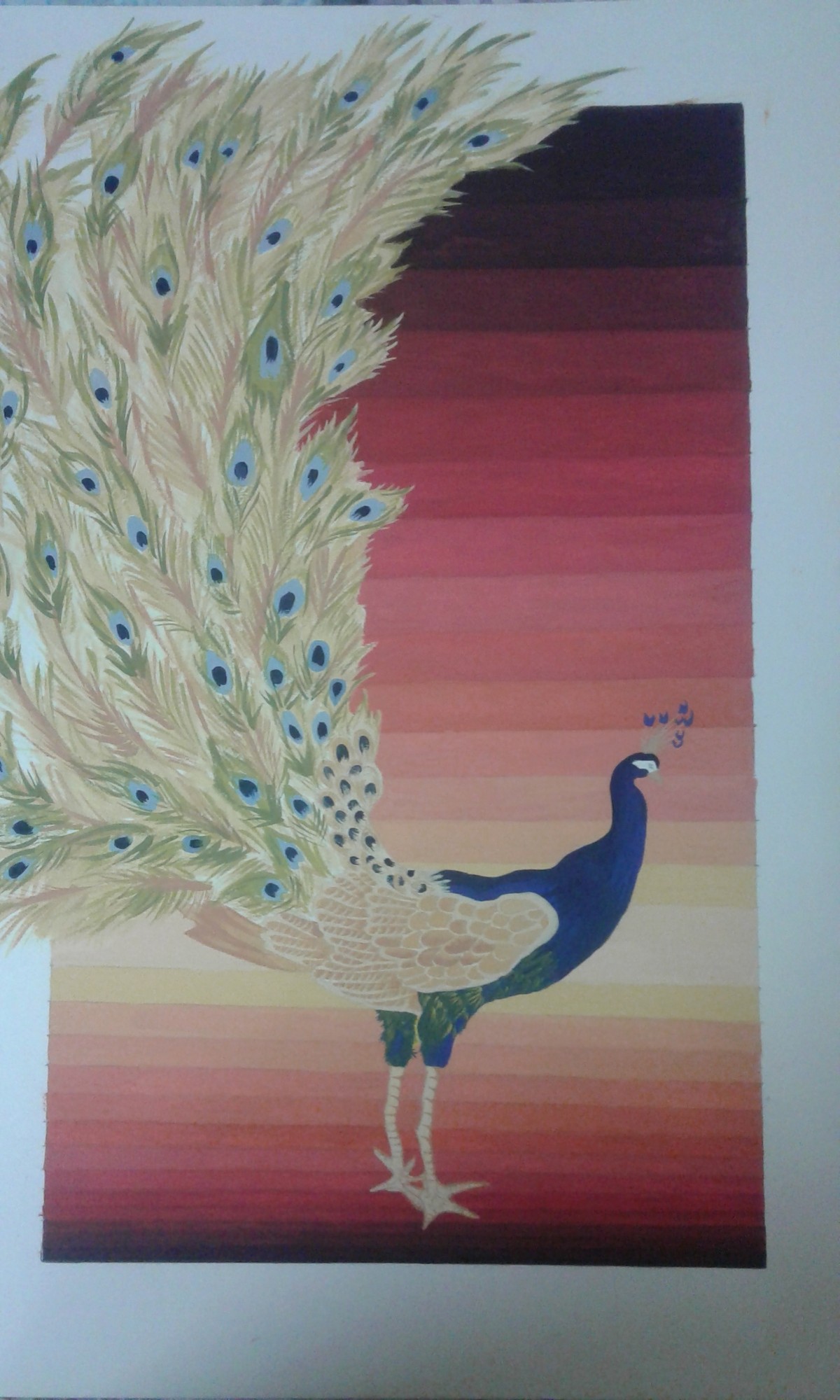 تصميم_طاووس