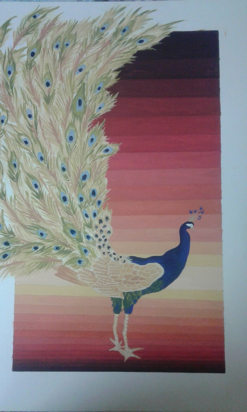 تصميم_طاووس